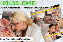 A Dildo Case in a Forensic Investigation