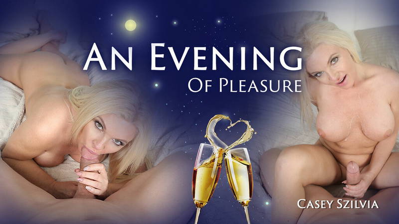 An Evening Of Pleasure - VR porn video by Reality Lovers