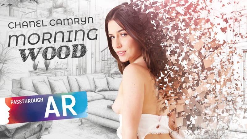 Pass-Through: Morning Wood - VR porn video by VRSpy