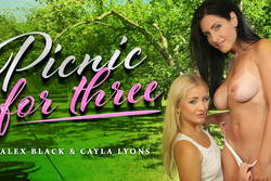 Picnic For Three
