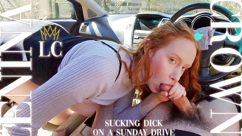 Sucking Dick on a Sunday Drive - VR porn video by AllVRPorn