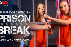 The Wet Pussy Bandits 2: Prison Break